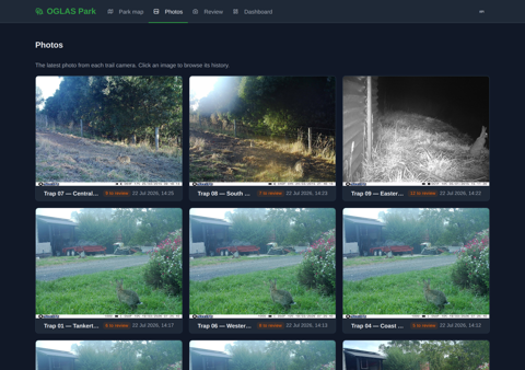 Trail-camera photos, home by radio, queued for review